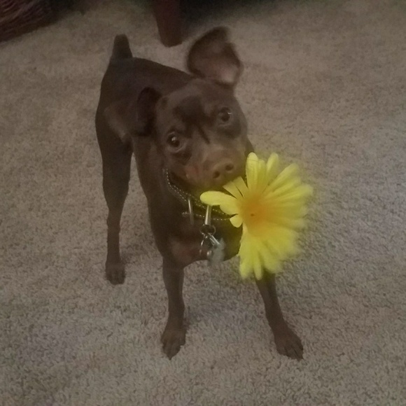 Luv2shop, I'm about to try selling very soon🤤😲😨 - Picture 2 of 7